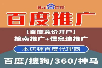 谷歌竞价案例：成功案例分析及启示